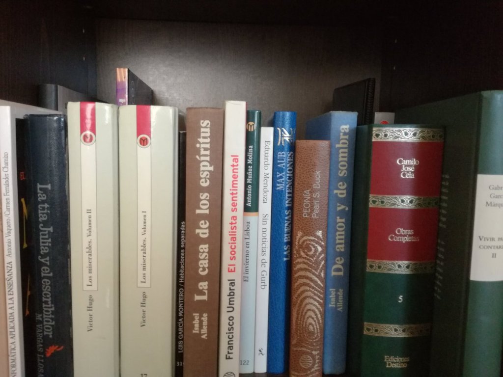 San Sebastián de los Reyes colocará citas de escritores en la calle, prestará a las bibliotecas públicas dotación económica adecuada y apoyará las actividades de los libreros, para fomentar la lectura durante todo el&nbsp;año