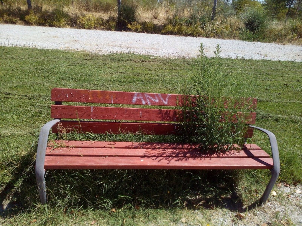 Anulado el contrato “sin precedentes” de parques y jardines tras ser anunciado a bombo y&nbsp;platillo