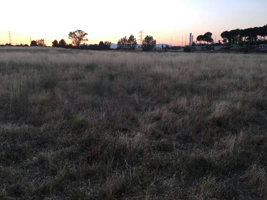 #PPSanse pide el desbroce de numerosas parcelas que suponen un potencial peligro de incendio ante las altas temperaturas&nbsp;previstas